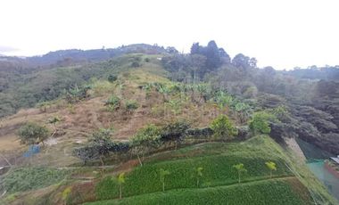 ARRIENDO de APARTAMENTO en ENVIGADO