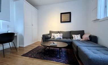 DEPARTAMENTO AMUEBLADO EN POLANCO EMILIO CASTELAR