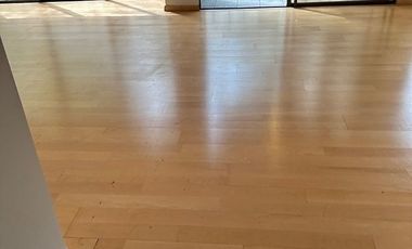 Polanco amplio departamento con terraza  frente al parque Lincoln!!