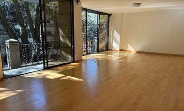 Polanco amplio departamento con terraza  frente al parque Lincoln!!