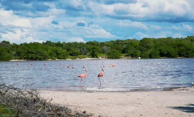 TERRENO EN VENTA EN HUNUCMA, MERIDA, YUCATAN.