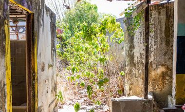 Casona histórica en el corazón de Mérida — Ideal para remodelación | EN VENTA |