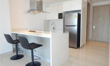 APARTAMENTO  AMOBLADO EN ARRIENDO  PUNTA ROCA, SABANILLA