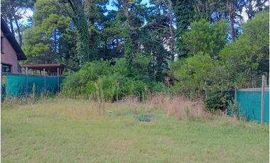 Lote Urtubeuy entre Balboa y C. de Vaca