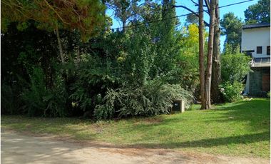 Lote Urtubeuy entre Balboa y C. de Vaca
