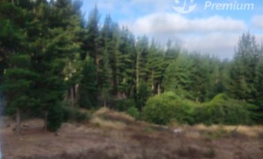 Parcela en Venta en Barrancas