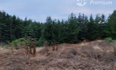 Parcela en Venta en Barrancas