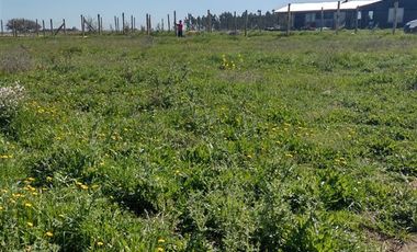 Parcela en Venta en Litueche