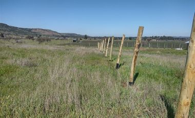 Parcela en Venta en Litueche