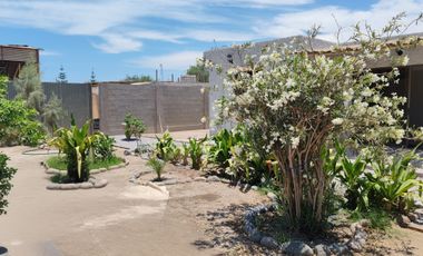 VALLE AZAPA BORDE DE CARRETERA KM 3
