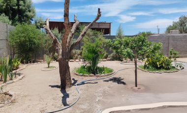 VALLE AZAPA BORDE DE CARRETERA KM 3