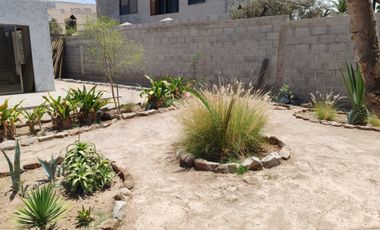 VALLE AZAPA BORDE DE CARRETERA KM 3