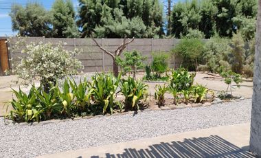 VALLE AZAPA BORDE DE CARRETERA KM 3