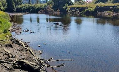 ARRIENDO CABAÑA EN CHAMIZA PMO