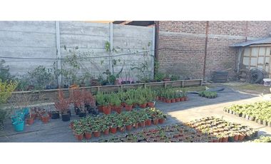 Terreno en Renca: Oportunidad Única de Inversión