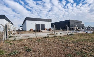 Polo 52 Galpón: 1080 MTS2 CUB. Oficina con privados