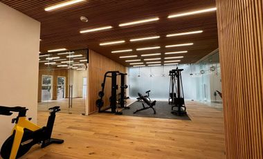 EN RENTA DEPA-LOFT, colonia Merced Gómez