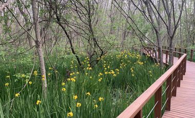 Venice, Townhouse 5 amb.  con Amarra propia,