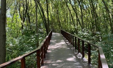 Venice, Townhouse 5 amb.  con Amarra propia,