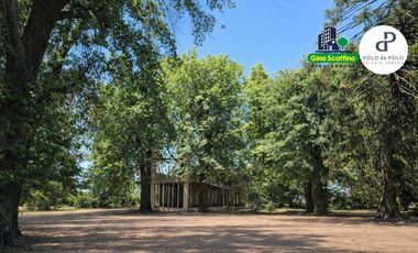 Departamento 2 Ambientes – Polo de Polo | Paisaje Urbano, General Rodríguez