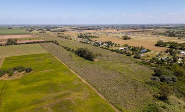 Venta Campo 28 ha Arroyo Seco sobre Rio Paraná Apto para loteo