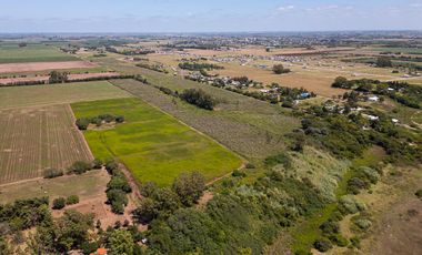 Venta Campo 28 ha Arroyo Seco sobre Rio Paraná Apto para loteo