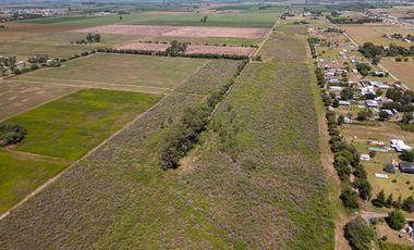 Venta Campo 28 ha Arroyo Seco sobre Rio Paraná Apto para loteo