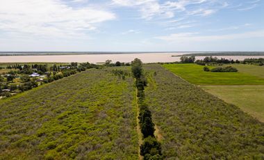 Venta Campo 28 ha Arroyo Seco sobre Rio Paraná Apto para loteo