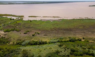 Venta Campo 28 ha Arroyo Seco sobre Rio Paraná Apto para loteo