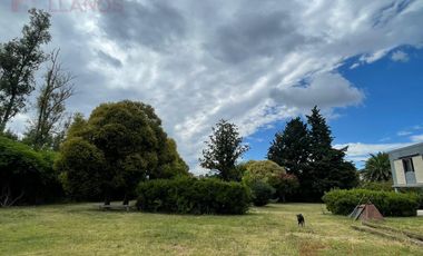 Fracción en alquiler con Casa, con 2 Galpones en el centro de Lujan