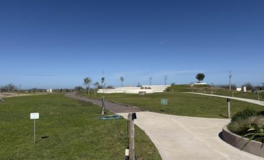 LOTE SANTA CLARA AL SUR