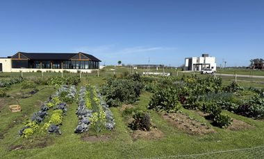 LOTE SANTA CLARA AL SUR