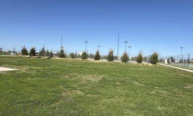 LOTE SANTA CLARA AL SUR