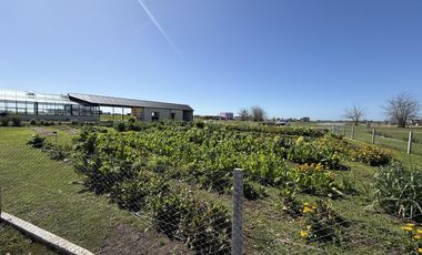 LOTE SANTA CLARA AL SUR