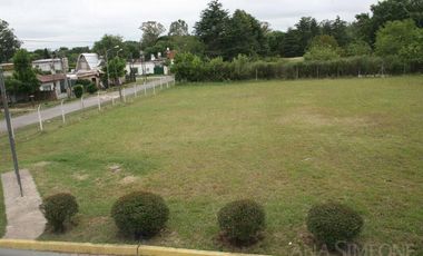 Tigre, Benavidez - Venta - Edificio - Nave Industrial