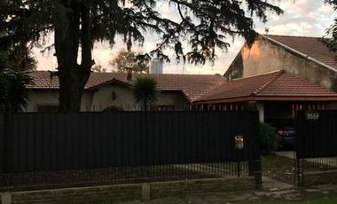 Garzon al 1600  - Luis Guillon