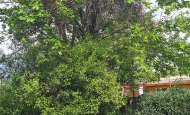 Amplia casa con hermosos jardines