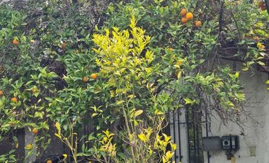 Amplia casa con hermosos jardines