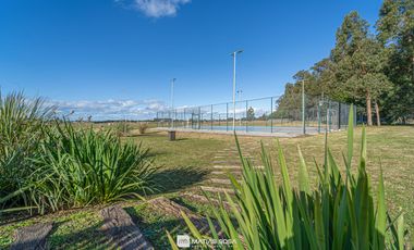 Venta - Lote 53 Casuarina - Casonas del Haras - Entrega inmediata