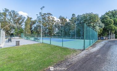 Venta - Lote 53 Casuarina - Casonas del Haras - Entrega inmediata