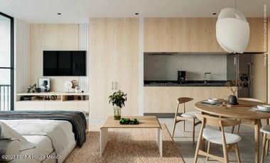 Departamento en Venta en Avenida Insurgentes, Tabacalera RU 25-2664.