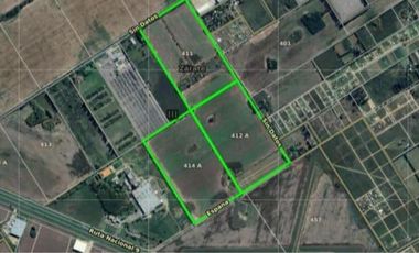 Campo 66 hectáreas  en Parque Industrial de Zárate a metros de Panamericana