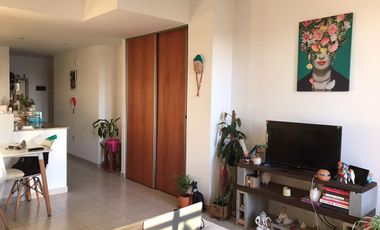 Departamento - Zona Sur