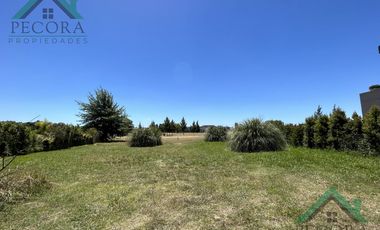 Terreno - Interno al golf - El Trébol - Haras Santa Maria - lote 1532