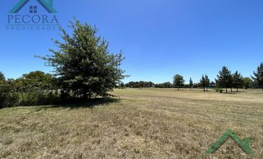 Terreno - Interno al golf - El Trébol - Haras Santa Maria - lote 1532