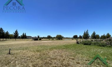 Terreno - Interno al golf - El Trébol - Haras Santa Maria - lote 1532