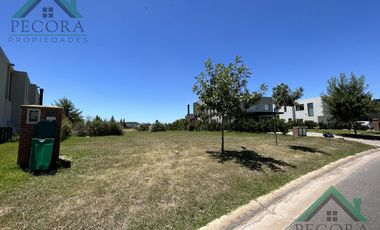 Terreno - Interno al golf - El Trébol - Haras Santa Maria - lote 1532