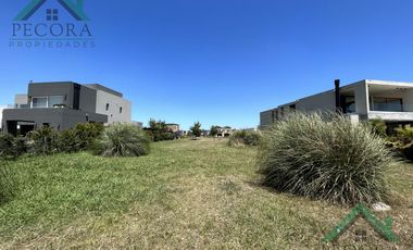 Terreno - Interno al golf - El Trébol - Haras Santa Maria - lote 1532