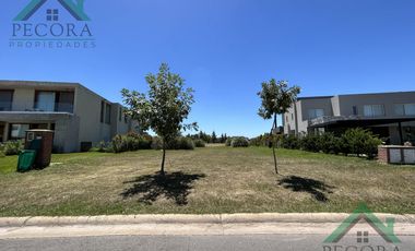 Terreno - Interno al golf - El Trébol - Haras Santa Maria - lote 1532