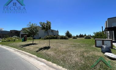 Terreno - Interno al golf - El Trébol - Haras Santa Maria - lote 1532